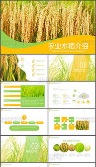 PPTX农产品商务 PPTX格式农产品商务素材图片 PPTX农产品商务设计模板 